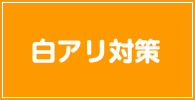 シロアリ 記事リスト