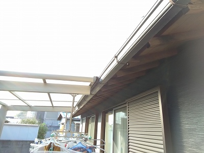 樋(とい)点検