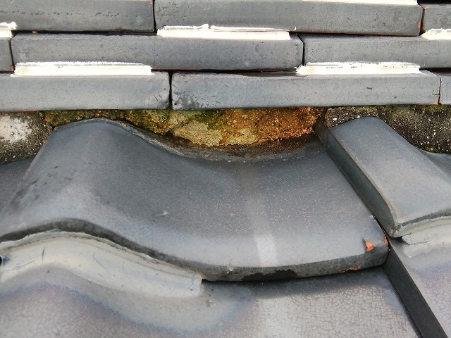 明石市 日本瓦 葺き土欠損