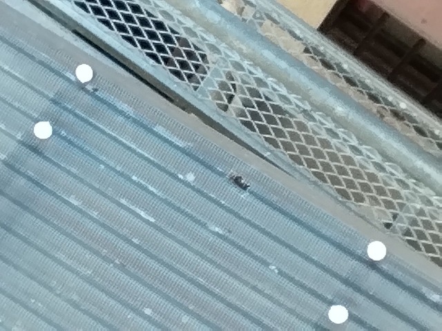 明石市 上から確認した波板ポリカの穴開き・貫通