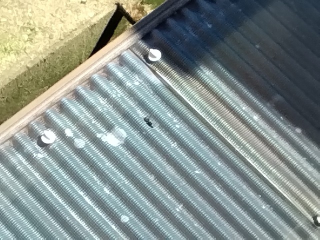 明石市 上から確認した波板ポリカの穴空き・貫通