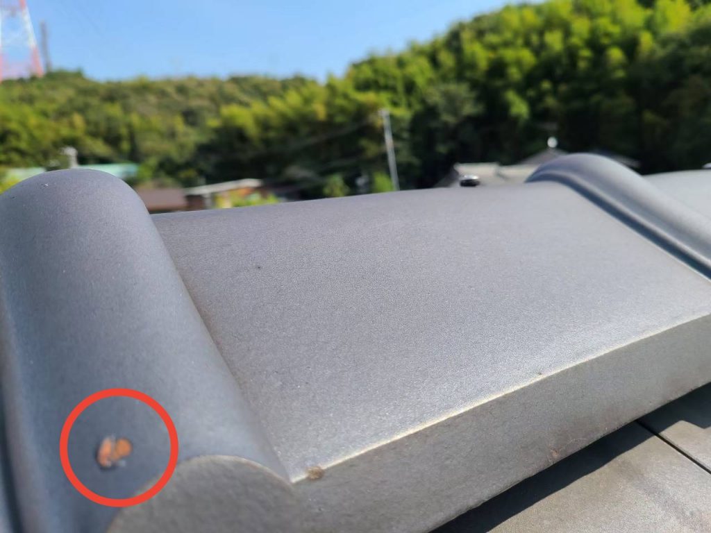 明石市　瓦　錆　変色