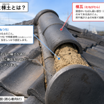 明石市 天井のシミの原因は棟土劣化?雨漏りを改善した下屋根棟瓦積み直し工事