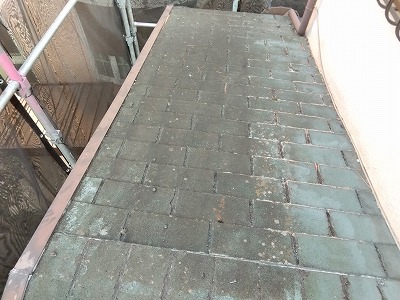 明石市 屋根 苔