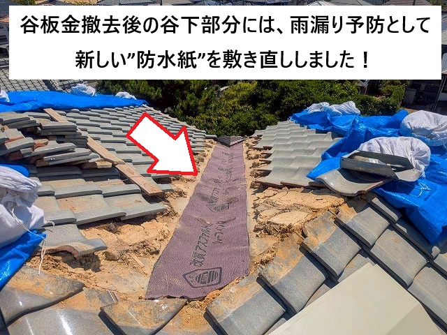 明石市 谷板金交換工事 防水紙(改質アスファルトルーフィング)施工